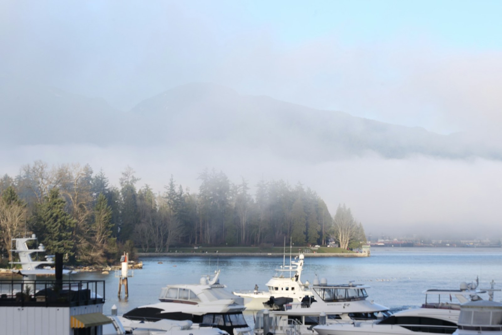 A quiet working marina under fog with forested mountains behind