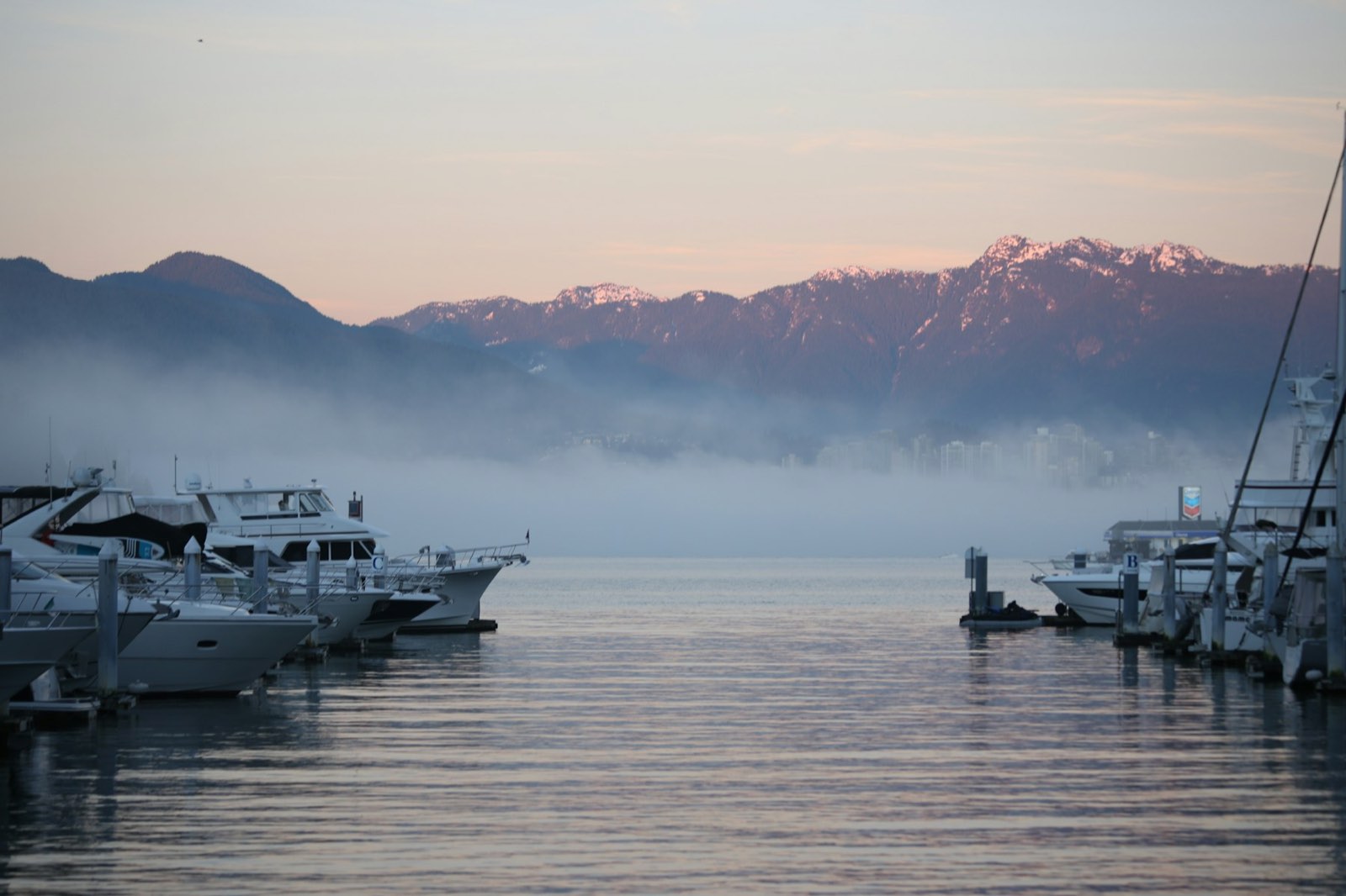 Boats tied up in a misty harbour at dawn with coastal mountains behind