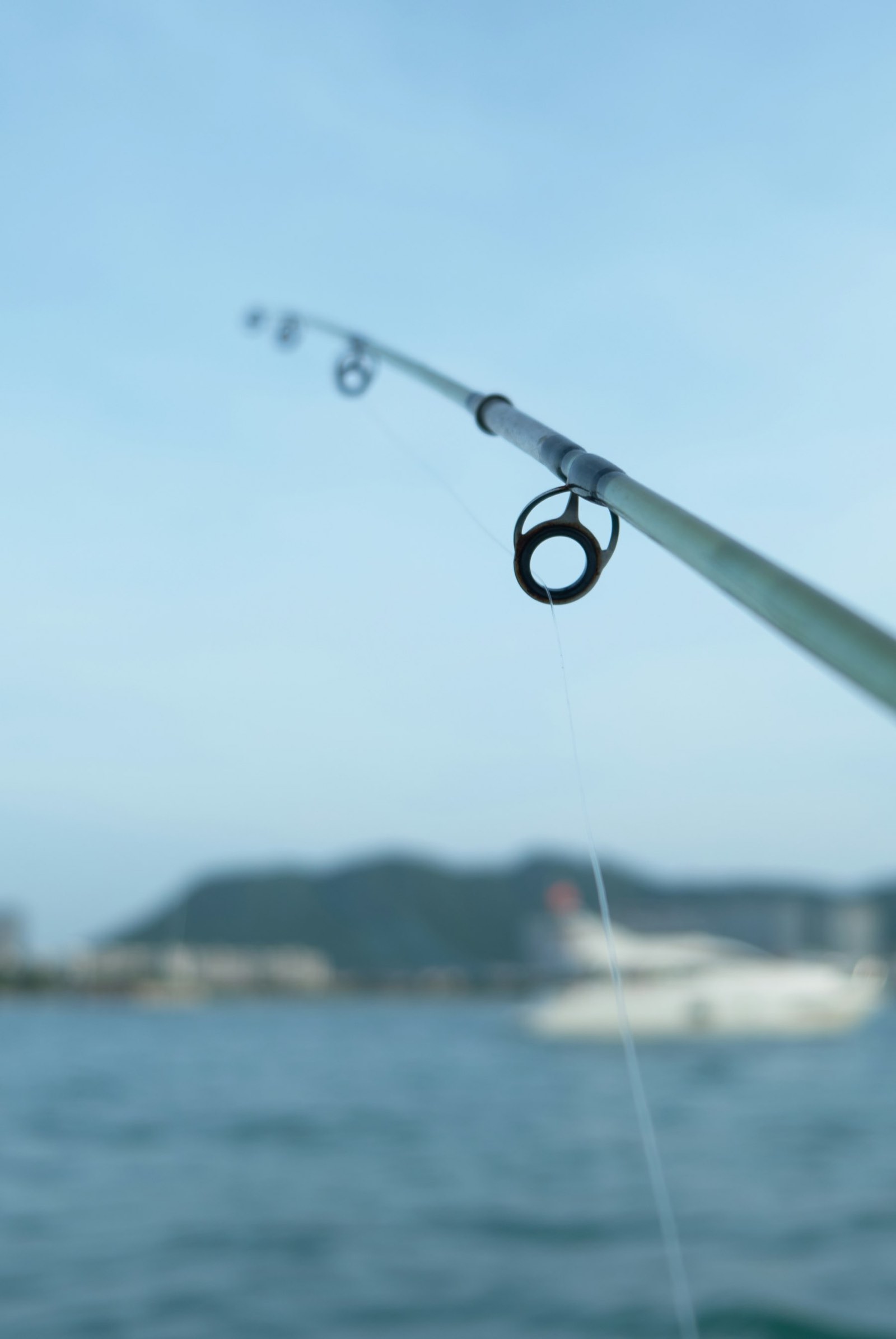A rod tip and line held over calm coastal water